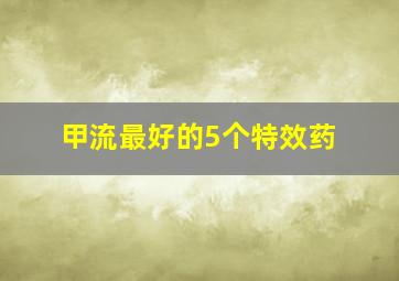 甲流最好的5个特效药