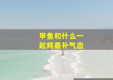 甲鱼和什么一起炖最补气血