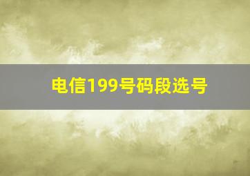 电信199号码段选号