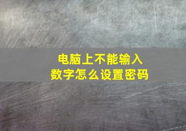 电脑上不能输入数字怎么设置密码