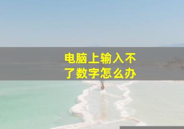 电脑上输入不了数字怎么办