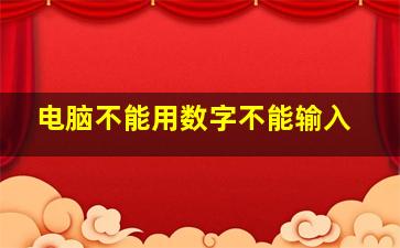 电脑不能用数字不能输入