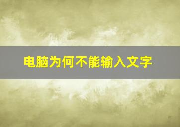 电脑为何不能输入文字