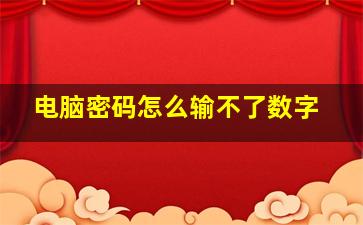 电脑密码怎么输不了数字