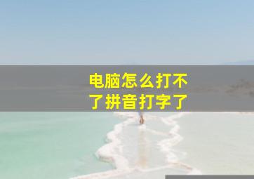 电脑怎么打不了拼音打字了