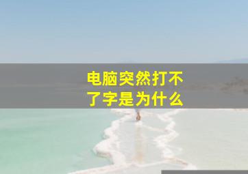 电脑突然打不了字是为什么