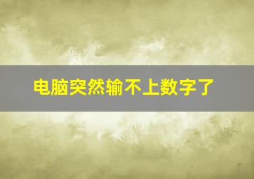 电脑突然输不上数字了