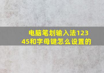 电脑笔划输入法12345和字母键怎么设置的