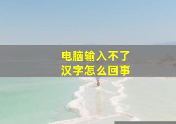 电脑输入不了汉字怎么回事