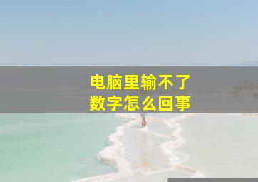 电脑里输不了数字怎么回事