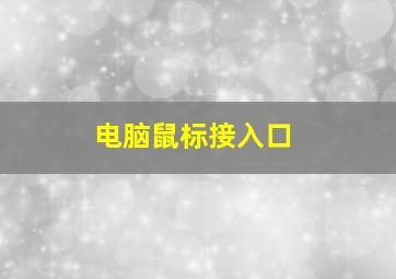 电脑鼠标接入口