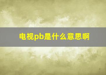 电视pb是什么意思啊