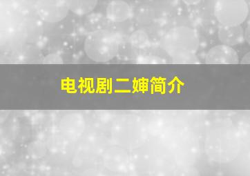 电视剧二婶简介