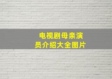 电视剧母亲演员介绍大全图片