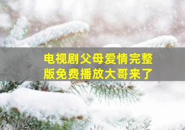 电视剧父母爱情完整版免费播放大哥来了