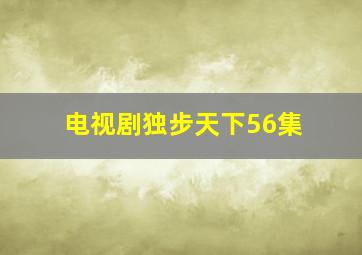 电视剧独步天下56集