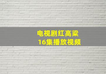 电视剧红高粱16集播放视频