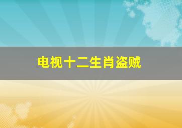 电视十二生肖盗贼