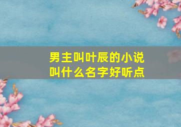 男主叫叶辰的小说叫什么名字好听点