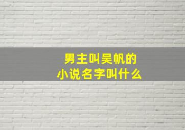 男主叫吴帆的小说名字叫什么