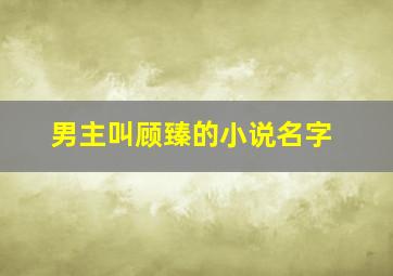 男主叫顾臻的小说名字