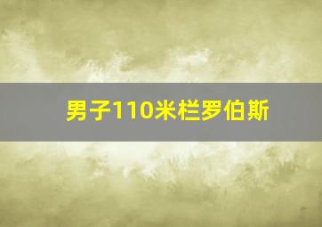 男子110米栏罗伯斯