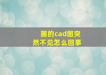 画的cad图突然不见怎么回事