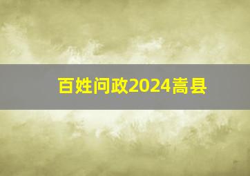 百姓问政2024嵩县