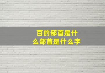 百的部首是什么部首是什么字