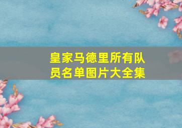 皇家马德里所有队员名单图片大全集