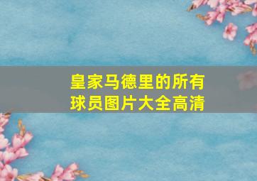 皇家马德里的所有球员图片大全高清