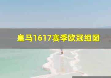 皇马1617赛季欧冠组图