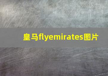 皇马flyemirates图片