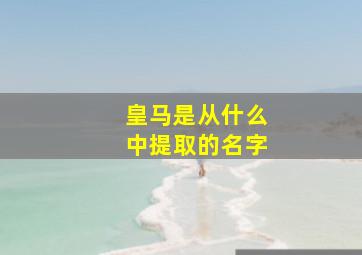 皇马是从什么中提取的名字