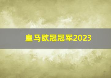 皇马欧冠冠军2023