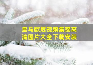 皇马欧冠视频集锦高清图片大全下载安装