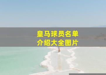 皇马球员名单介绍大全图片