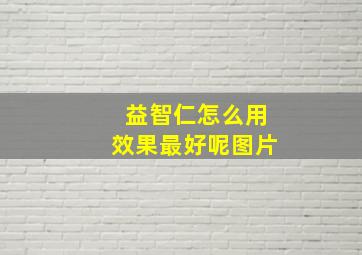 益智仁怎么用效果最好呢图片