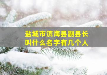 盐城市滨海县副县长叫什么名字有几个人