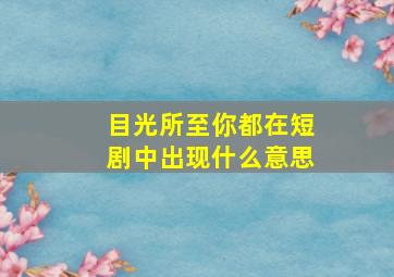 目光所至你都在短剧中出现什么意思