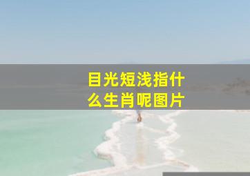 目光短浅指什么生肖呢图片