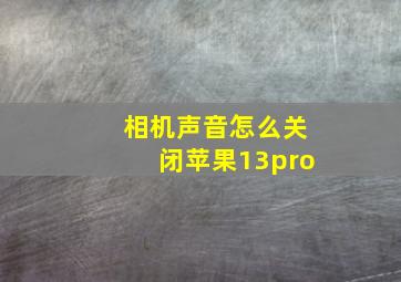 相机声音怎么关闭苹果13pro