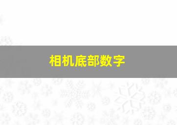 相机底部数字