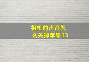 相机的声音怎么关掉苹果13