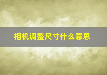 相机调整尺寸什么意思