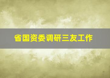 省国资委调研三友工作