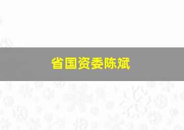 省国资委陈斌