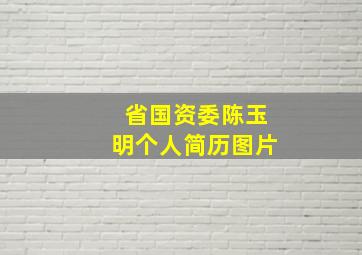 省国资委陈玉明个人简历图片