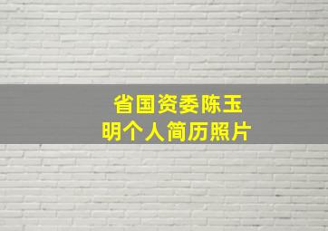 省国资委陈玉明个人简历照片