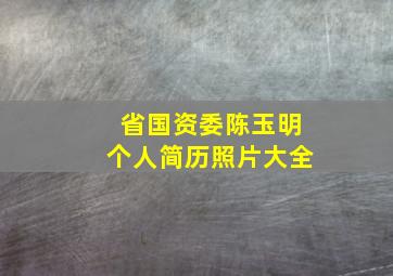 省国资委陈玉明个人简历照片大全